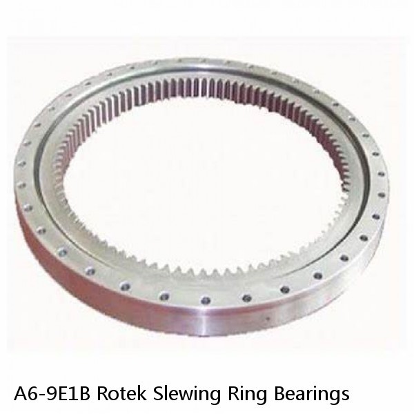 A6-9E1B Rotek Slewing Ring Bearings