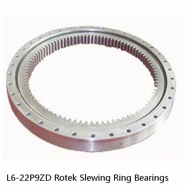 L6-22P9ZD Rotek Slewing Ring Bearings