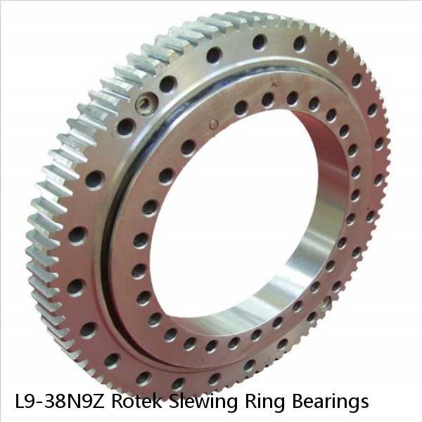 L9-38N9Z Rotek Slewing Ring Bearings