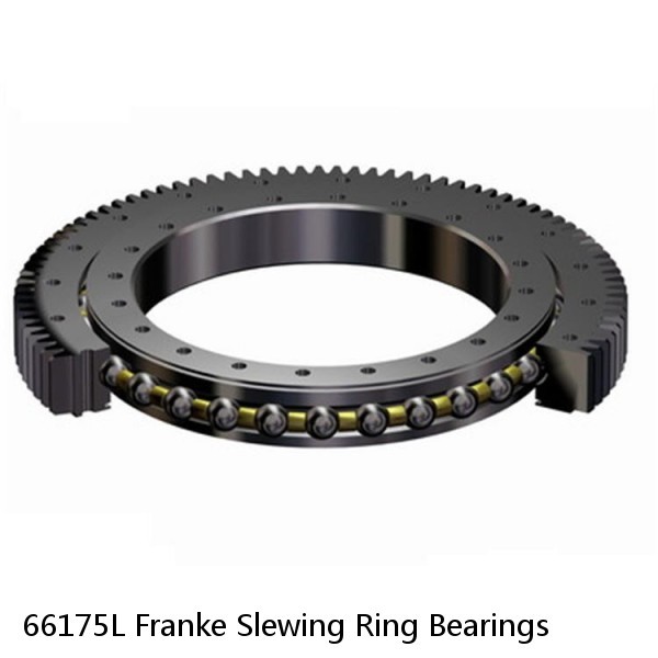 66175L Franke Slewing Ring Bearings