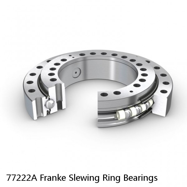 77222A Franke Slewing Ring Bearings