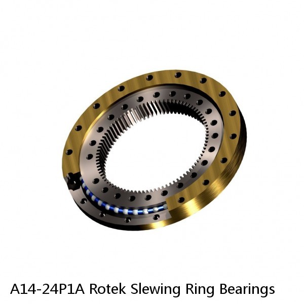 A14-24P1A Rotek Slewing Ring Bearings