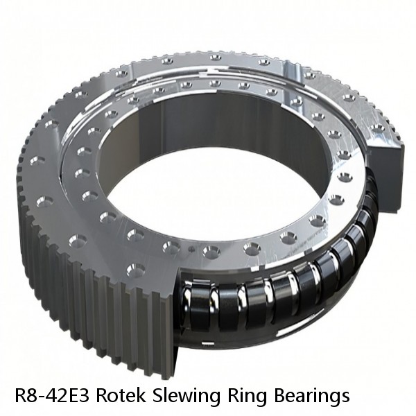 R8-42E3 Rotek Slewing Ring Bearings