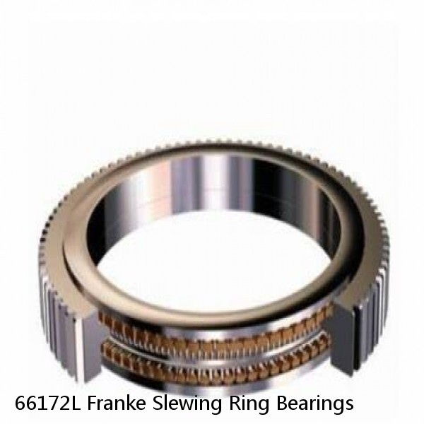 66172L Franke Slewing Ring Bearings