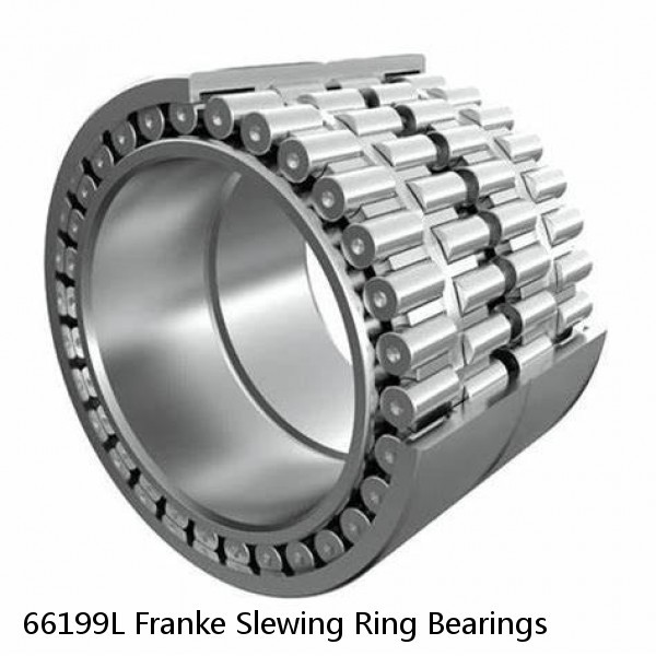 66199L Franke Slewing Ring Bearings