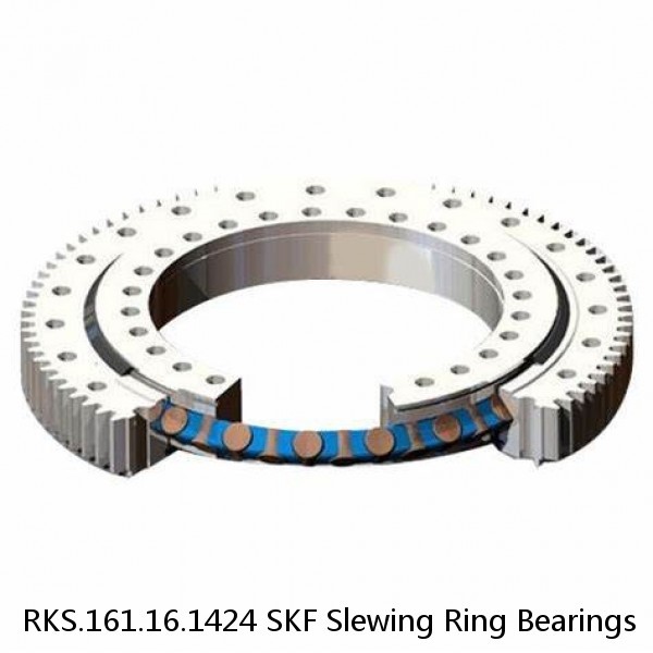 RKS.161.16.1424 SKF Slewing Ring Bearings