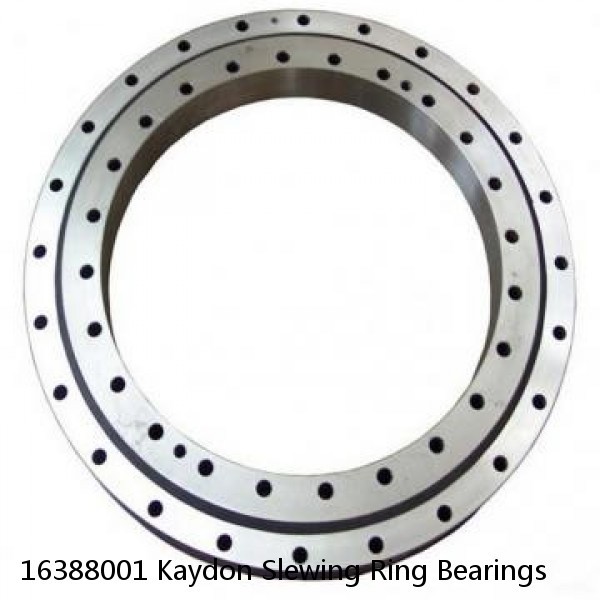 16388001 Kaydon Slewing Ring Bearings