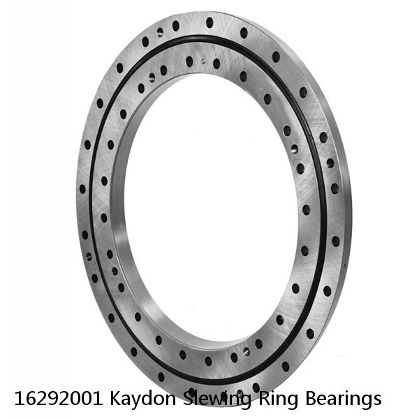 16292001 Kaydon Slewing Ring Bearings