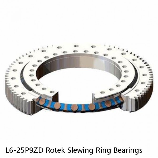 L6-25P9ZD Rotek Slewing Ring Bearings