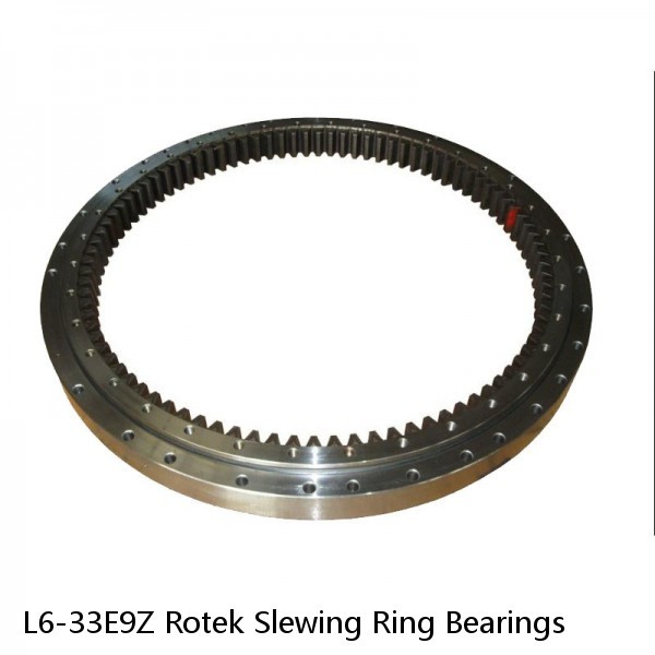 L6-33E9Z Rotek Slewing Ring Bearings