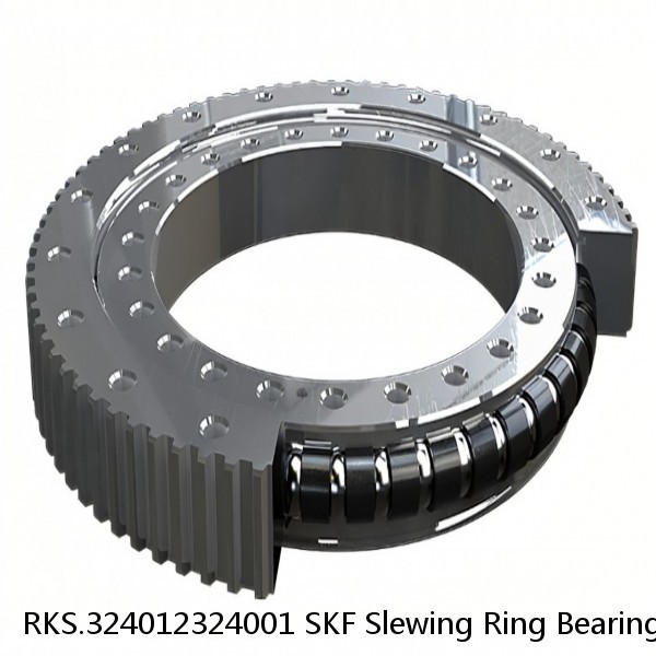 RKS.324012324001 SKF Slewing Ring Bearings