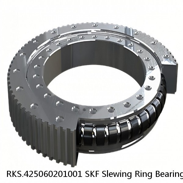 RKS.425060201001 SKF Slewing Ring Bearings