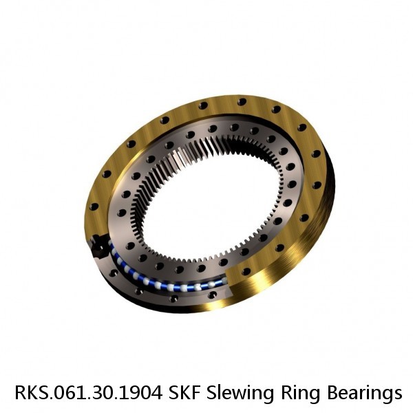 RKS.061.30.1904 SKF Slewing Ring Bearings