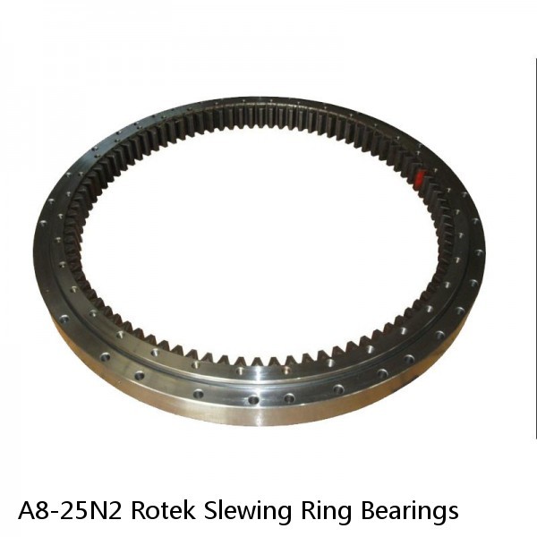 A8-25N2 Rotek Slewing Ring Bearings