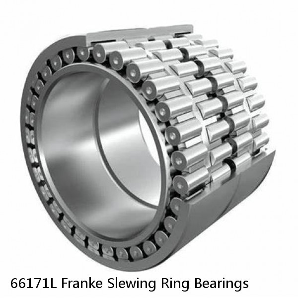 66171L Franke Slewing Ring Bearings