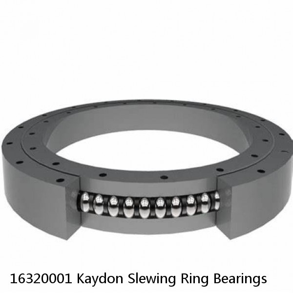 16320001 Kaydon Slewing Ring Bearings