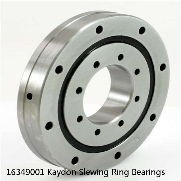 16349001 Kaydon Slewing Ring Bearings