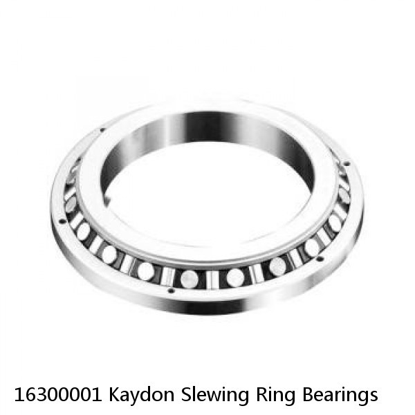 16300001 Kaydon Slewing Ring Bearings