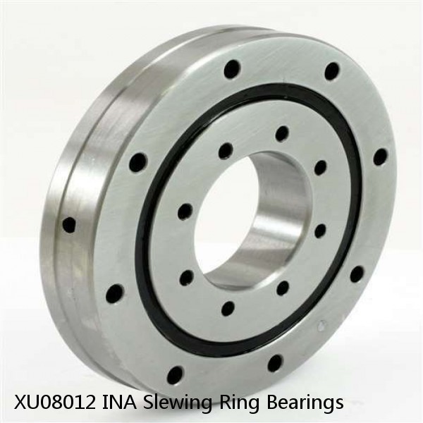 XU08012 INA Slewing Ring Bearings