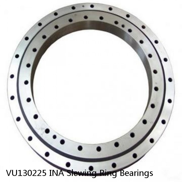 VU130225 INA Slewing Ring Bearings