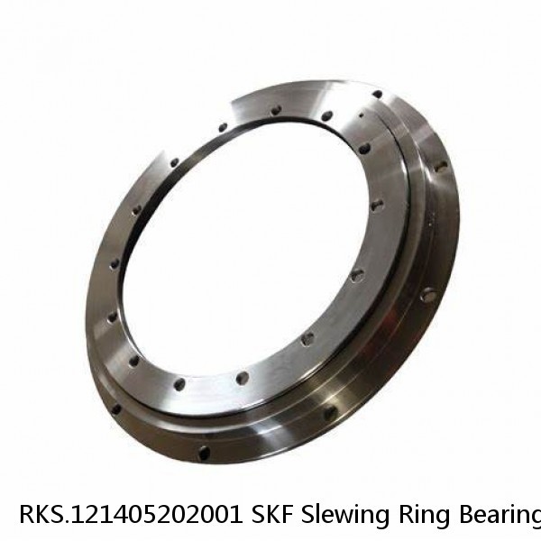 RKS.121405202001 SKF Slewing Ring Bearings