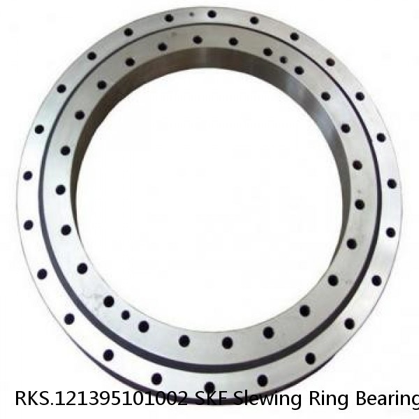 RKS.121395101002 SKF Slewing Ring Bearings