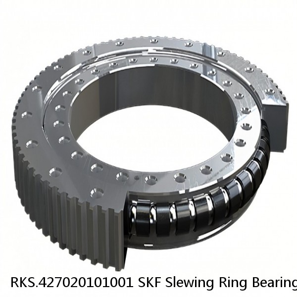 RKS.427020101001 SKF Slewing Ring Bearings