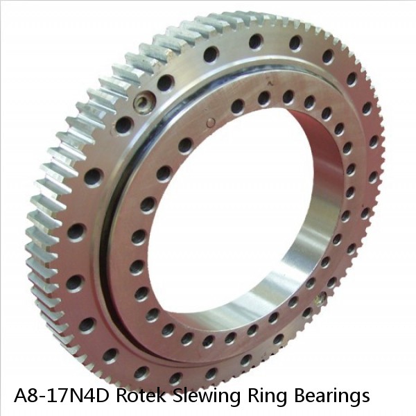 A8-17N4D Rotek Slewing Ring Bearings