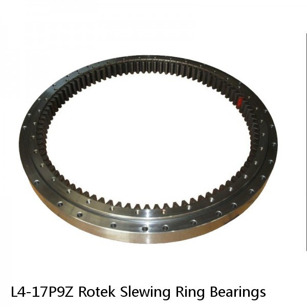 L4-17P9Z Rotek Slewing Ring Bearings