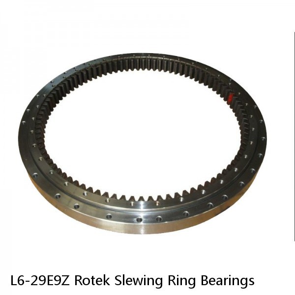 L6-29E9Z Rotek Slewing Ring Bearings