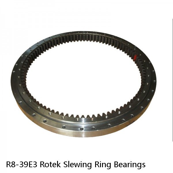 R8-39E3 Rotek Slewing Ring Bearings